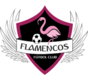 FLAMENCOS FC LF7